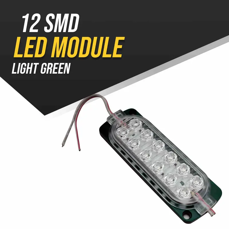 12-Smd Green Led Module 1
