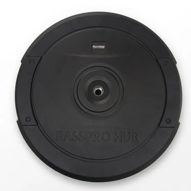 Maximus 12-Inch High-Power Car Subwoofer – Compact Spare Tire Enclosure Design 1