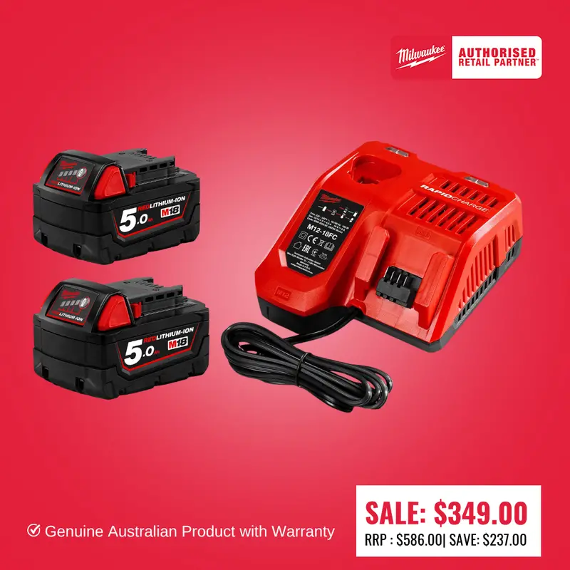 Milwaukee M12/M18 Dual-Voltage Charger With Two 5Ah Batteries 1