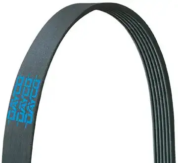 Dayco 5080865 Poly-V Ribbed Drive Belt – High-Performance Serpentine Belt For Automotive Applications 1